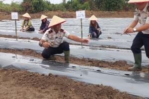 Dukung Ketahanan Pangan, Imigrasi Jambi Tanam Ribuan Melon dan Cabai Rawit