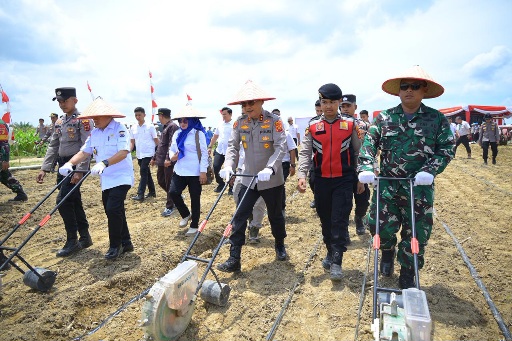 Dukung Ketahanan Pangan Nasional, Polda Jambi Gelar Tanam Jagung Raya Serentak Kuartal I Tahun 2026