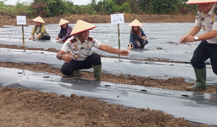 Dukung Ketahanan Pangan, Imigrasi Jambi Tanam Ribuan Melon dan Cabai Rawit