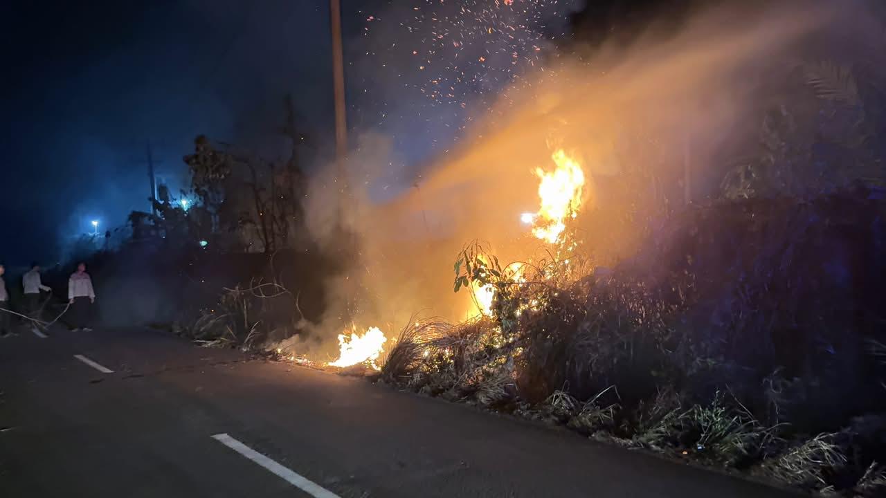Personel Batalyon A Pelopor Satbrimob Polda Jambi Padamkan Karhutla di Sungai Bertam